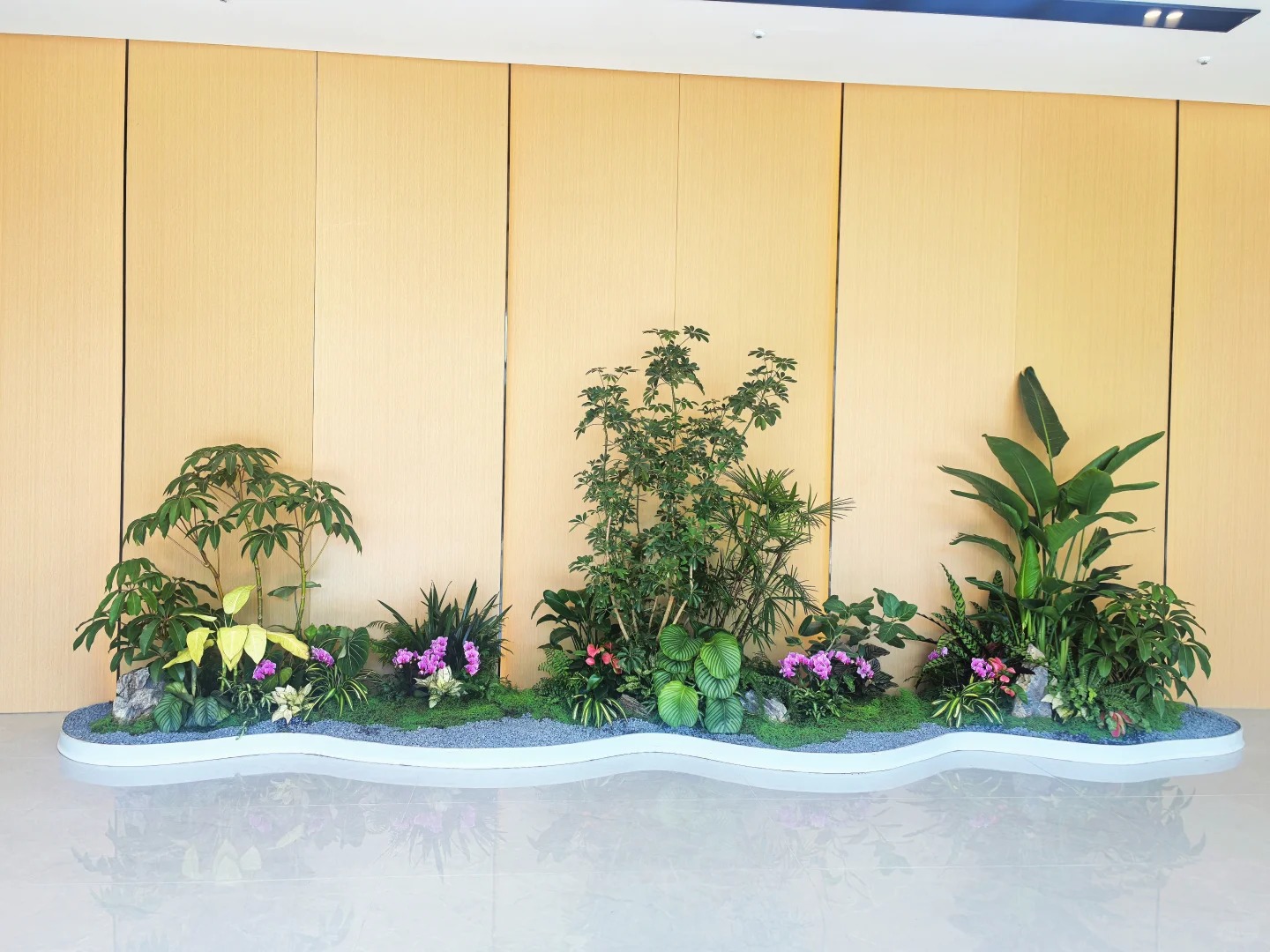 余姚植物出租,为您的空间增添自然清新气息